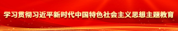 操起来白虎吃大吊无毛学习贯彻习近平新时代中国特色社会主义思想主题教育